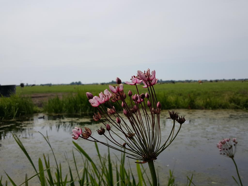 Bed & Breakfast De Koegang Zuidermeer Exteriér fotografie