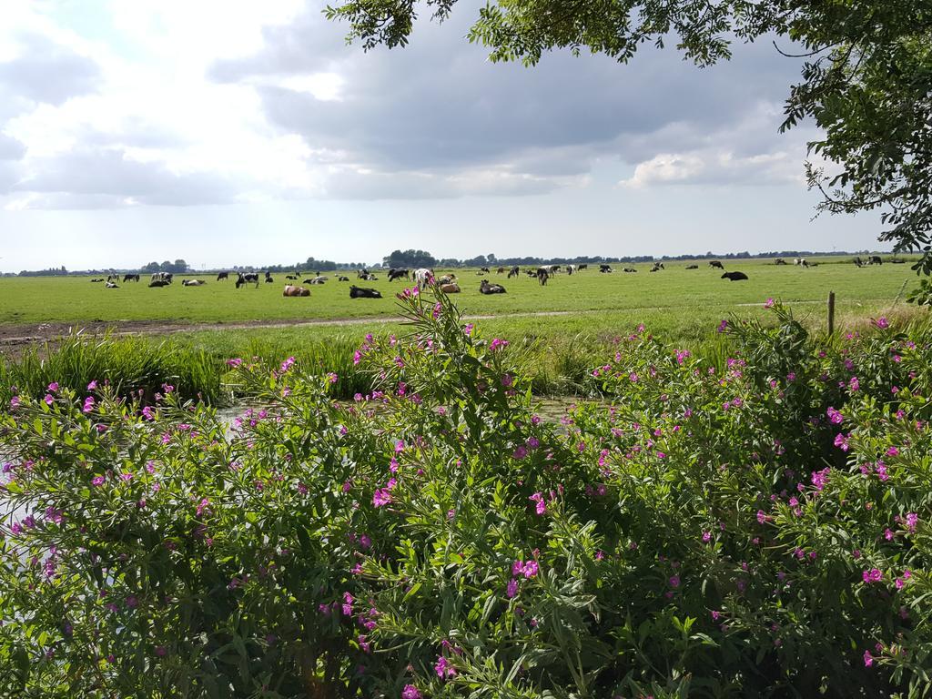 Bed & Breakfast De Koegang Zuidermeer Exteriér fotografie